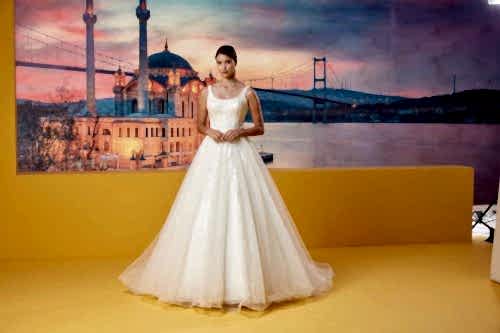 Alternative view of A Kesim Model 2