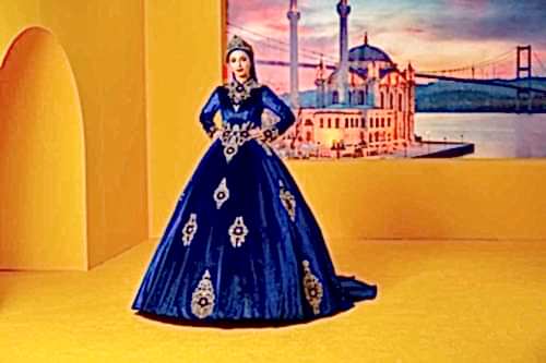 Alternative view of Bindallı Model 18