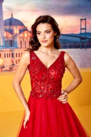 Alternative view of Nişanlık Model 5