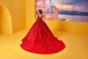 Alternative view of Nişanlık Prenses Model 2